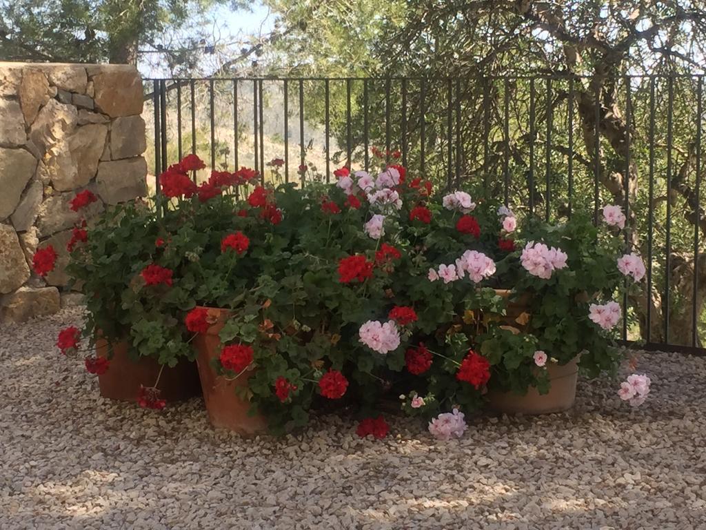 Finca El Otero Aigues Bagian luar foto