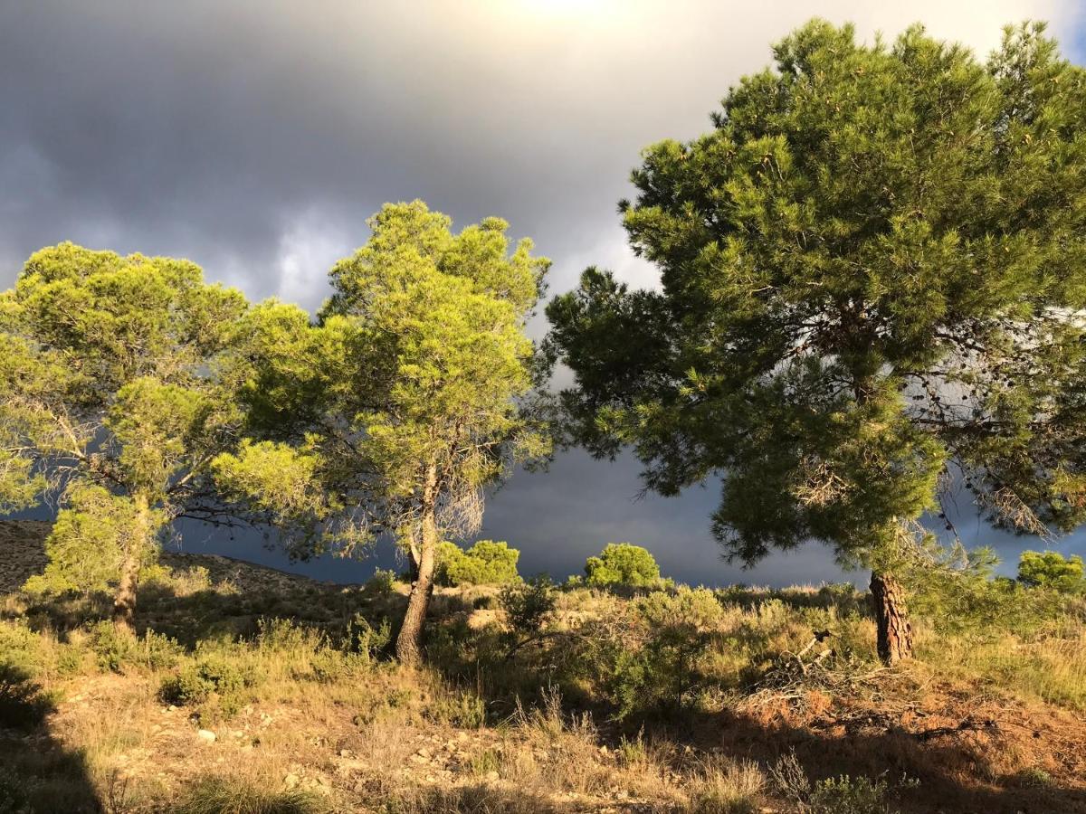 Finca El Otero Aigues Bagian luar foto